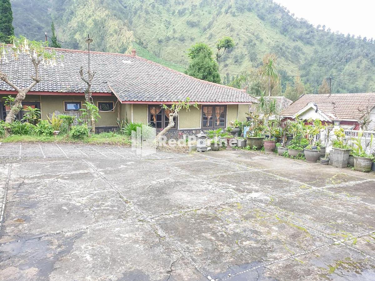 Hotel Yoschi'S Bromo At Desa Wisata Bromo Ngadisari Exterior foto